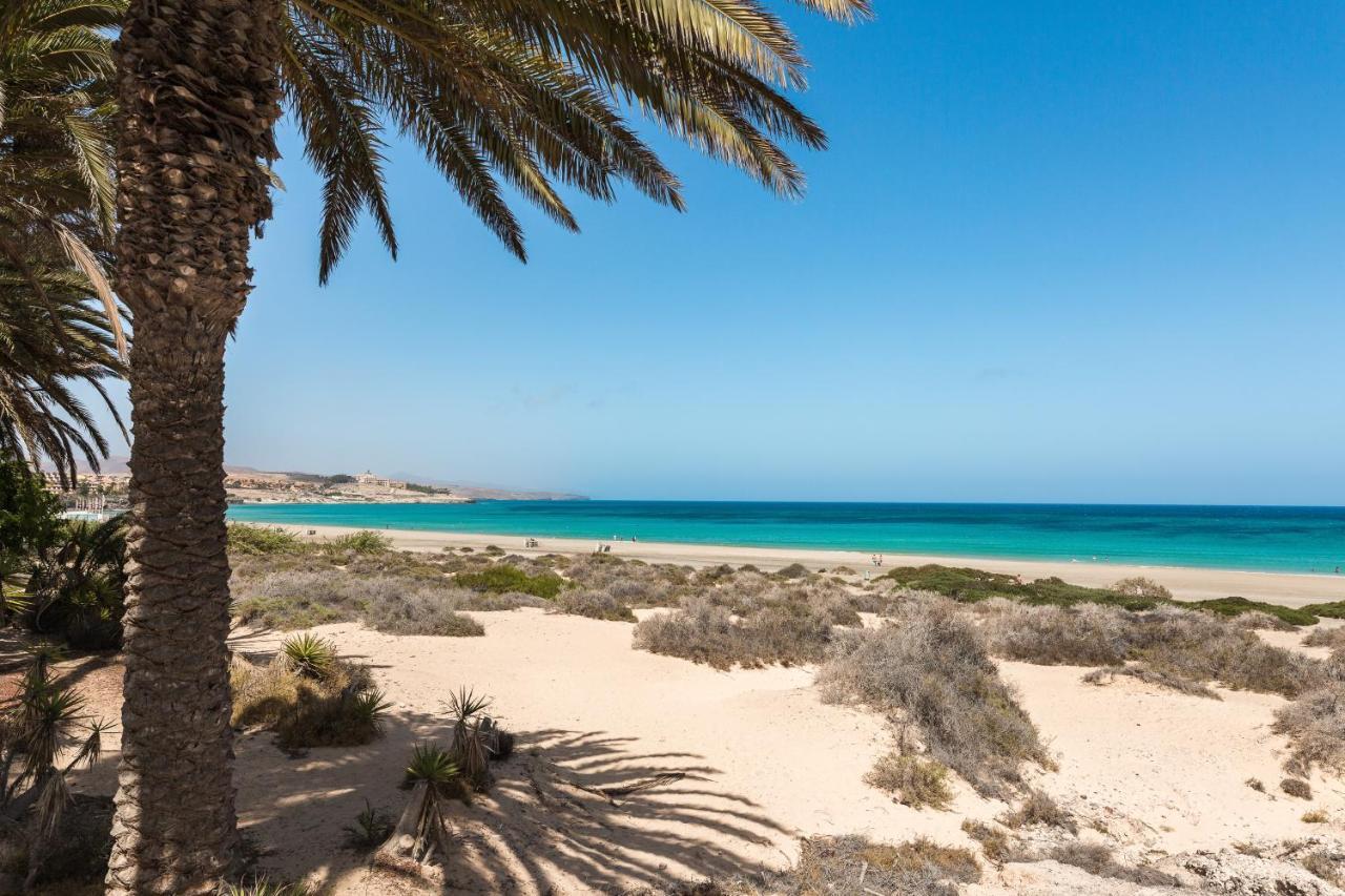 Home2Book Oasis Paradise Home Fuerteventura コラレホ エクステリア 写真